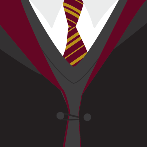 Gryffindor Robes Art Print