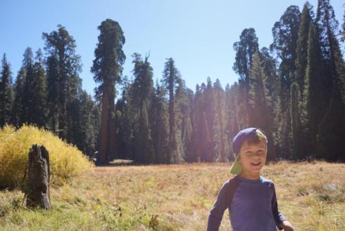 Oct 17, 2019 - 1 of 1