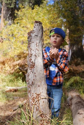 Oct 18, 2019 - 1 of 1